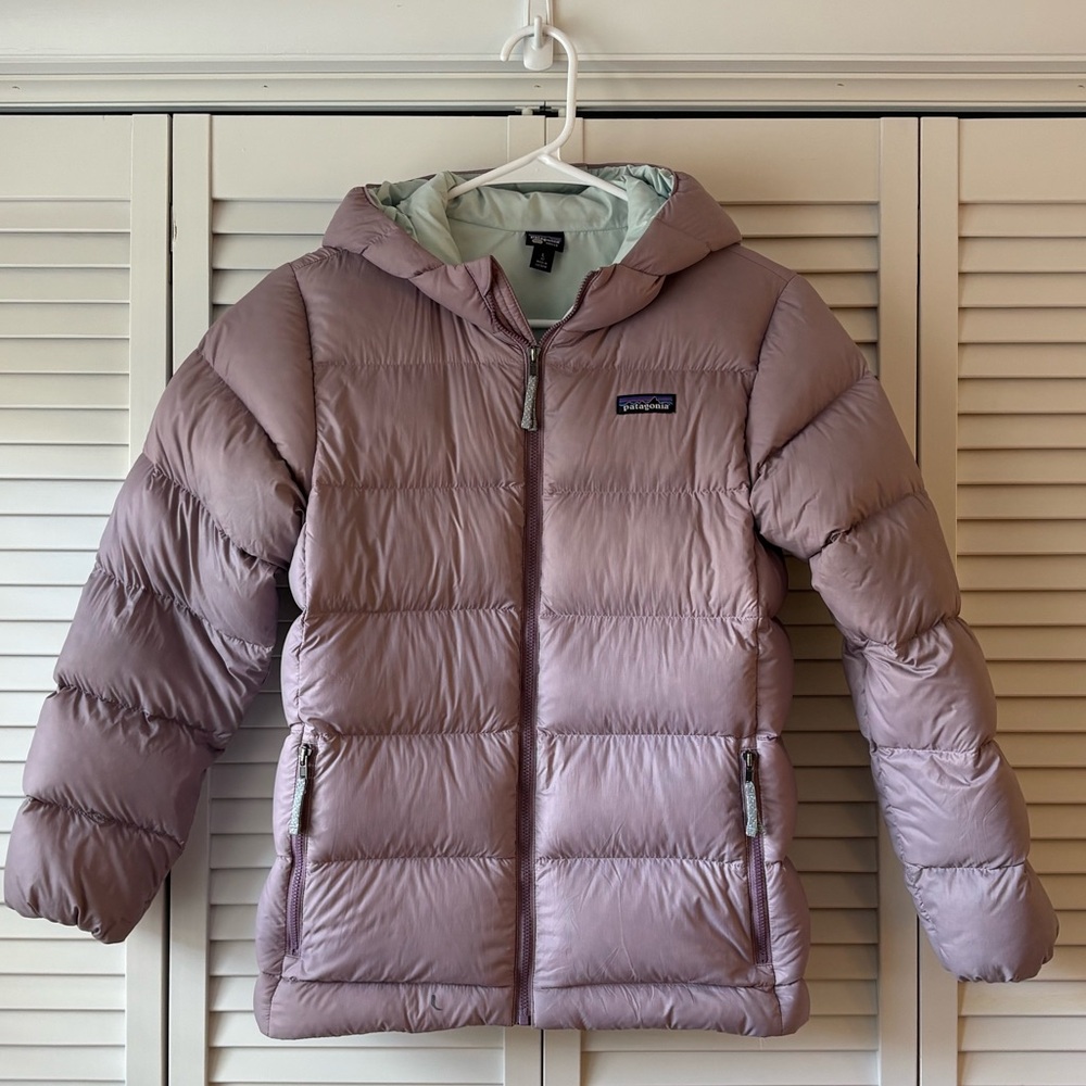 Patagonia Kids Hi-Loft Down Sweater Hoody, Large (12)